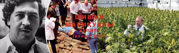 MDMA Пролетарск