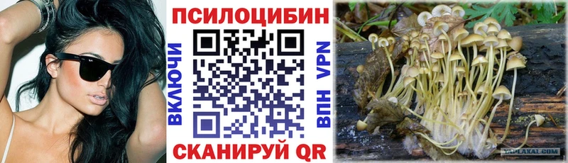 наркотики  Абаза  Псилоцибиновые грибы Psilocybine cubensis 