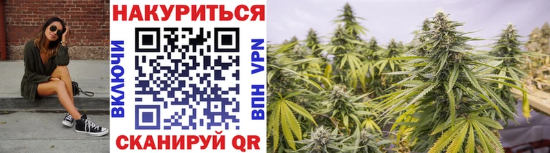 Шишки марихуана конопля  Абаза 